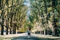 A woman standing in Forest walking path, autumn Royalty Free Stock Photo