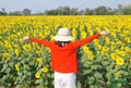 A woman with a beautiful sunflower field Royalty Free Stock Photo