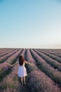 a woman standing with her back in a field of lavender walk nature