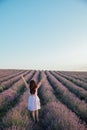 a woman standing with her back in a field of lavender walk nature