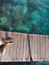 Woman standing on the jetty with beautiful clear water from the surface in Mabul Island, Semporna. Tawau, Sabah. Malaysia. Royalty Free Stock Photo