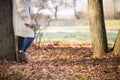 Woman standing near the tree and holding seasonal bouquet in her hands on a sunny autumn day in the park. Girl walking