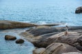 A woman standing on the rock by the seashore Royalty Free Stock Photo