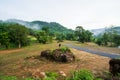 Woman standing on rocks, tropical green forest with morning mist Royalty Free Stock Photo