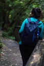 Woman standing on the side of a bridge in the middle of the woods. Ecotourism concept Royalty Free Stock Photo