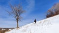 Woman standing in a snowy meadow by big leafless tree under blue sky on a sunny winter day Royalty Free Stock Photo