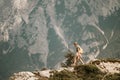 Woman standing at the top of the hill in mountains looking at wonderful scenery. Triglav, the highest slovenian mountain. Trgilav