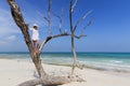 Woman standing in a tree looking out to the ocean. Royalty Free Stock Photo