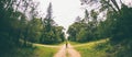 A woman stands at the crossroads of two forest roads