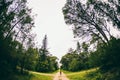 A woman stands at the crossroads of two forest roads Royalty Free Stock Photo