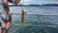 A woman stands next to the metal railing of the yacht, holding a newly caught sea bass