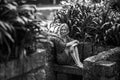 A woman on a stone bench in old parkl. Black and white photo. Royalty Free Stock Photo