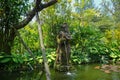 A woman stone statue on the garden park bali pouring water on the lake with green tree and grass on background - photo Royalty Free Stock Photo