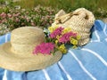 Woman straw hat and bag  wild pink flowers on blue blanket at white sand in beach  tropical plant leaves blue sky  and green se Royalty Free Stock Photo