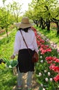 woman in a straw hat picking tulips in a beautiful park in spring Royalty Free Stock Photo