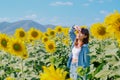 A woman in a straw hat is standing in a large field of sunflowers. stands in flowering field. Summer time, lifestyle, travel and Royalty Free Stock Photo