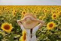 woman in a straw hat in a white dress back view of a field of sunflowers sunny day Royalty Free Stock Photo