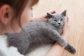 Woman stroke her car. The British Shorthair pedigreed kitten