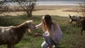 Woman stroking goat outdoors closly watching to goat face