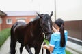 A woman in stroking the muzzle of a brown horse Royalty Free Stock Photo