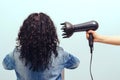 Woman styling her curly hair with hairdryer with special diffuser nozzle Royalty Free Stock Photo