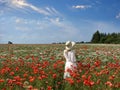 woman in summer dress and hat on wild field with red poppy and daisy flowers blue cloudy sky nature landscape Royalty Free Stock Photo