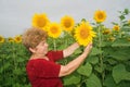 Woman on a sunflower field