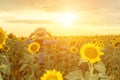 Woman sunflower field. Happy girl in blue dress and straw hat posing in a vast field of sunflowers at sunset. Summer Royalty Free Stock Photo