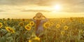 Woman sunflower field. Happy girl in blue dress and straw hat posing in a vast field of sunflowers at sunset. Summer Royalty Free Stock Photo