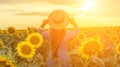 Woman sunflower field. Happy girl in blue dress and straw hat posing in a vast field of sunflowers at sunset. Summer Royalty Free Stock Photo