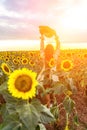 Woman sunflower field. Happy girl in blue dress and straw hat posing in a vast field of sunflowers at sunset. Summer Royalty Free Stock Photo