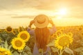 Woman sunflower field. Happy girl in blue dress and straw hat posing in a vast field of sunflowers at sunset. Summer Royalty Free Stock Photo