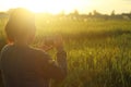 Woman & sunset in field. Smartphone phontographer at work. Morning warm sunlight over paddy field background