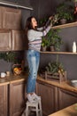 A woman in a sweater and jeans stands on a stool and waters the flowers on the upper shelves of the kitchen in the evening