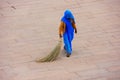 Woman sweeping Jaleb Chowk - main courtyard of Amber Fort, Rajasthan, India