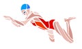 Woman Swimmer Breaststroke vector color abstract silhouette