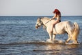 Woman swimming with horse Royalty Free Stock Photo