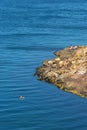 Woman swimming