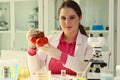 A woman at the table in the laboratory holds tomatoes Royalty Free Stock Photo