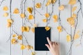 Woman with tablet, birch branches with yellow leaves  on white retro wood boards. background. Autumn, fall concept. Flat lay Royalty Free Stock Photo