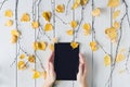 Woman with tablet, birch branches with yellow leaves  on white retro wood boards. background. Autumn, fall concept. Flat lay Royalty Free Stock Photo