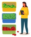 Woman with tablet counts the harvest of vegetables in boxes. Diverse vegetables. Urban agriculture