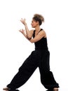 Woman tai chi Royalty Free Stock Photo