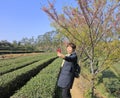 Woman take selfies with her iphone under cerasus serrulata in the tea gardens, adobe rgb