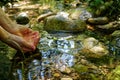 Woman take water in hand from Creek in forest, Mountain River in the wood