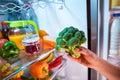 Woman takes the broccoli from the open refrigerator. Royalty Free Stock Photo