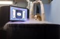 Woman takes cryotherapy treatment