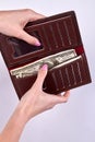 Woman takes out money dollar banknotes from a wallet. Royalty Free Stock Photo