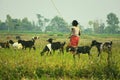 Woman taking care of her goats from Chitwan Nepal