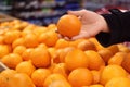 Woman taking orange from pile. Fresh citrus fruit Royalty Free Stock Photo